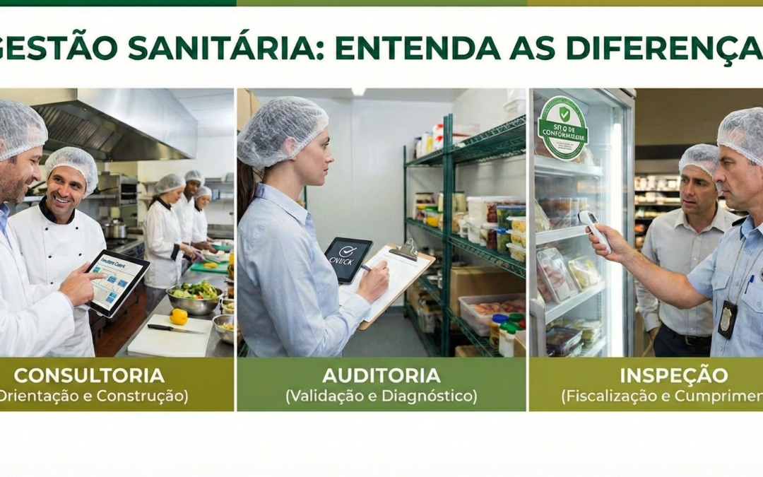 Guia prático sobre consultoria, auditoria e inspeção sanitária para gestores de alimentação